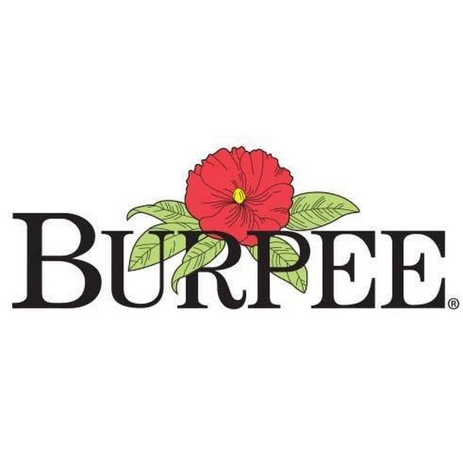 burpee Logo