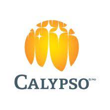 save more with Calypso