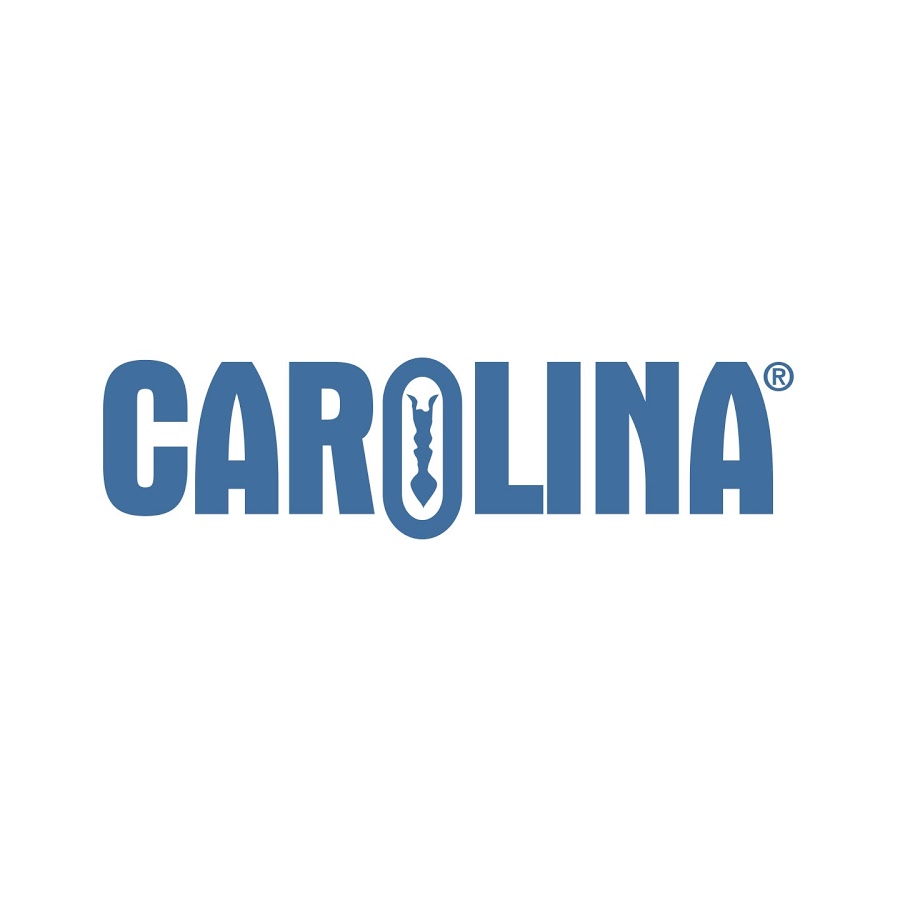 carolina Logo