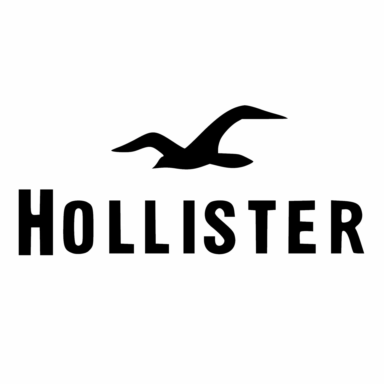save more with Hollister